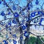 @ajwilcox_1 - Instagram