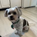 Amy Wilder - @ajwilder - Instagram