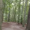 aj die wilde nudel - @aj_wildes_leben_ - TikTok