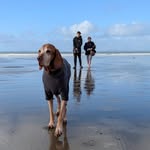 Aoife 🌼 - @aj.wilkinson_06 - Instagram