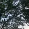 Aj William - @aj.ediz - TikTok
