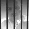 Aj William - @aj.william0 - TikTok