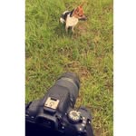 AJWillis Photography 📸🏇🏻 - @ajwillis_photography - Instagram