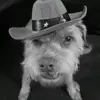 Andyroo - @ajwinner - TikTok