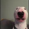 Aj - @aj.wolff - TikTok