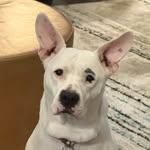 AJ - @aj_worthington - Instagram
