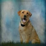 AJ Yoder - @ajartography - Instagram