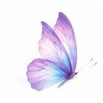 Aja Bell - Facebook