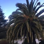 Burnside High School Rumours - @burnsajajbxjsj - Instagram