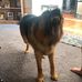 Aja Clark - Facebook