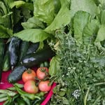 Aja Clark - @organicallysimplegardenfarms - Instagram