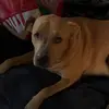 ajaa💗 - @ajaa.clark - TikTok