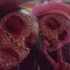 Aajah - @aajaheldridge9 - TikTok