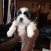 Aja Epps - Facebook