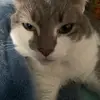 Aja Floyd - @aja.floyd0 - TikTok