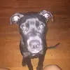leajaford - @school._.videos23 - TikTok