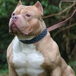 Ajani Garrett - @ajanigarrett - Instagram