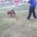 Ajah Gibson - Facebook