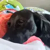 aj_goode - @aj_goode - TikTok