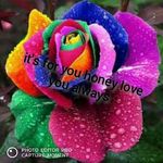 Ajanay Gooden - @ajanay.gooden - Instagram