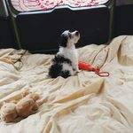 Aja Goodwin - @berry_blunt - Instagram