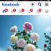 Ajay Kaushal - Facebook