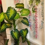 Ajay Kaushal - @ajaykaushal0 - Instagram