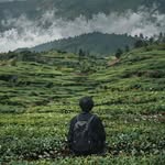 Ajay Kota - @ajaykota47 - Instagram