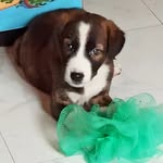 Ajay Pardeshi - @aj_pardeshi_ - Instagram