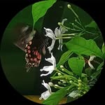 ajay pradhan - @ajaypradhan5211 - Instagram