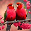 AJAY PRADHAN - @ajaypradhan3012 - TikTok
