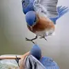 ajay_rajput - @ajay_rajput215 - TikTok
