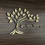 @ajay_rose_nursary - Instagram