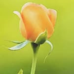Ajay Sathe - @ajaysathe49 - Instagram