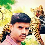 Ajay Sekar - @ajay.sekar.1029 - Instagram