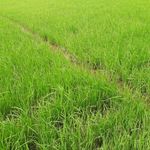 Ajay Sekar - @ajay.sekar.9400 - Instagram
