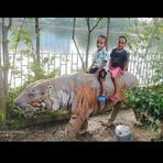 Ajay Shaw - Facebook