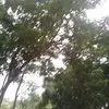 Ajayshaw Ajayshaw - @ajayshawajayshaw8 - TikTok