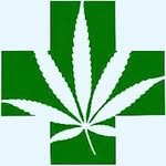 Ajay Simon - @green_medicine_daily - Instagram