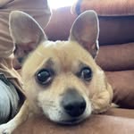 Ajay Simpson - @simpson.ajay - Instagram