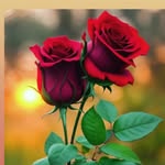 Ajay Tanwar - @ajaytanwar506 - Instagram