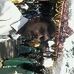 Ajay  nishad velding vale - Facebook