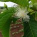Ajay waghmare - Facebook