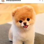 Sharayu Ajit Deodhar - @sharayuajitdeodhar - Instagram
