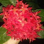 Ajit Jena - @my_life_ah143 - Instagram