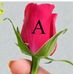 Ajit jha - Facebook