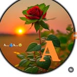 Ajit Jha - @ajitjha331 - Instagram