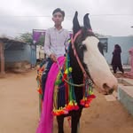 Ajit Khan - @ajitkhan.786 - Instagram