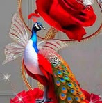 Ajit Maan - Facebook