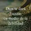 Manuel Marco Guaji T - @manuelmarcoguajit - TikTok